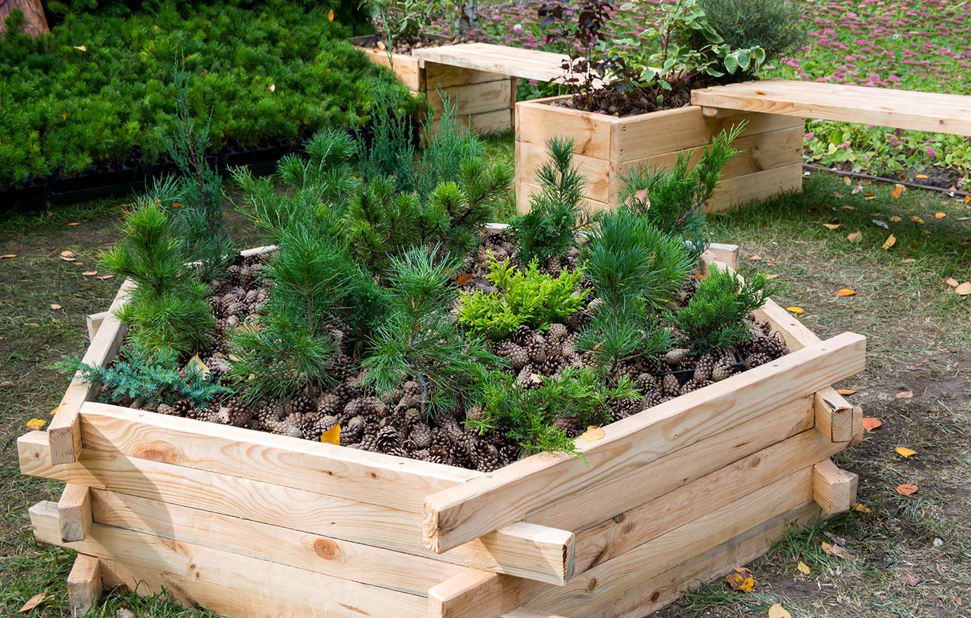 ein sechseckiges Holzbeet aus Gartenholz